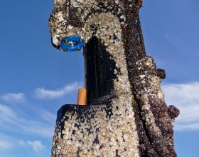 Antifouling UV spotlight