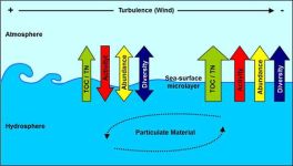 Sea Surface Microlayer
