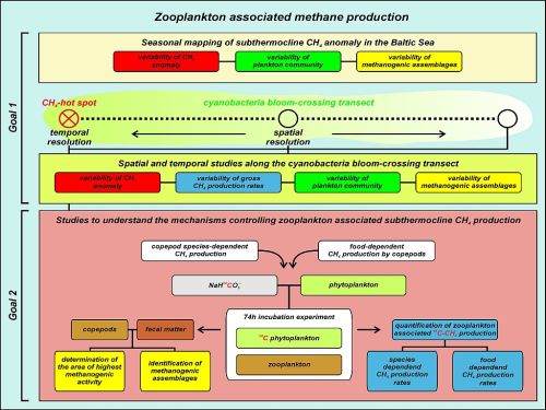Scheme project zoom