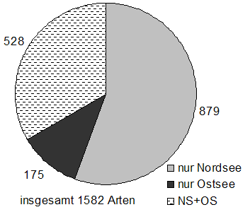 Übersicht über die Artenzahl der in der Nord- und Ostsee vorkommenden Arten des Makrozoobenthos
