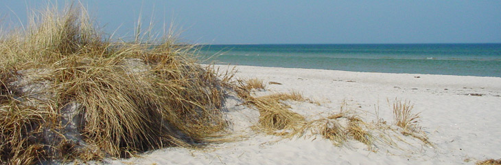 Fragen zum Meer