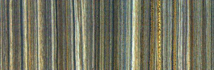 Scanned and enanced image of a laminated sediment core
