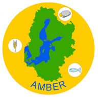 AMBER