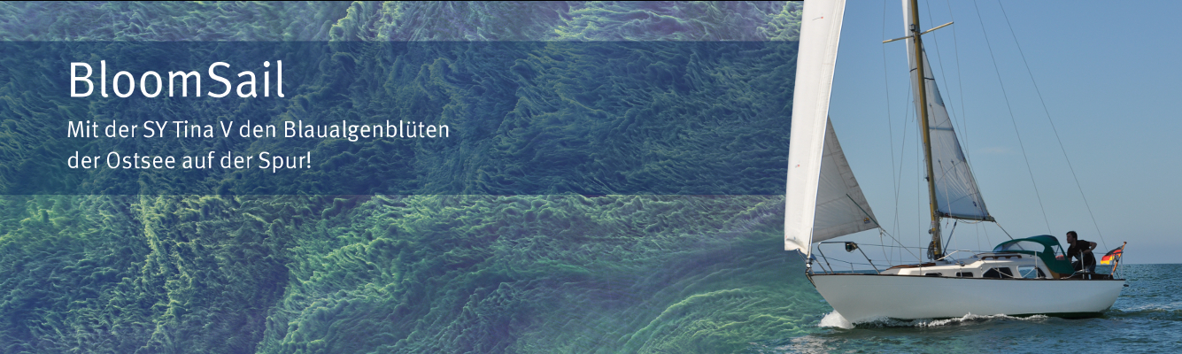 Tina V Header